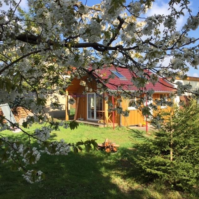 Ferienwohnung Niesky Номер фото